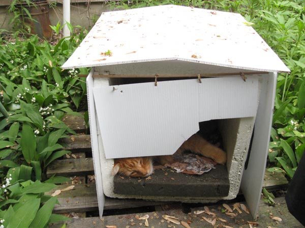 Homemade Outdoor Cat House